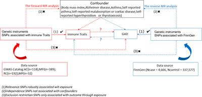 Causal role of immune cells in generalized anxiety disorder: Mendelian randomization study